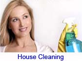 house cleaning link